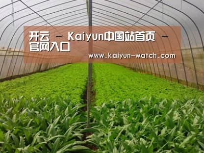 种植基地四
