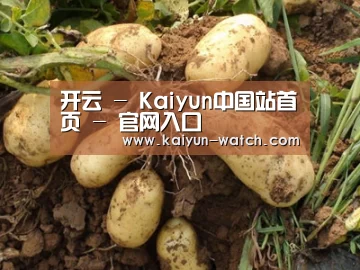 种植基地六