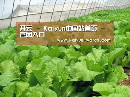 种植基地一