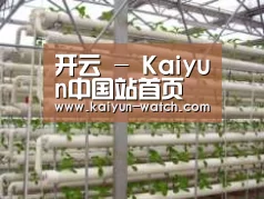 环境展示六