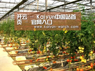 种植基地二(图1)