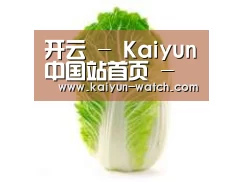 产品名称一(图1)